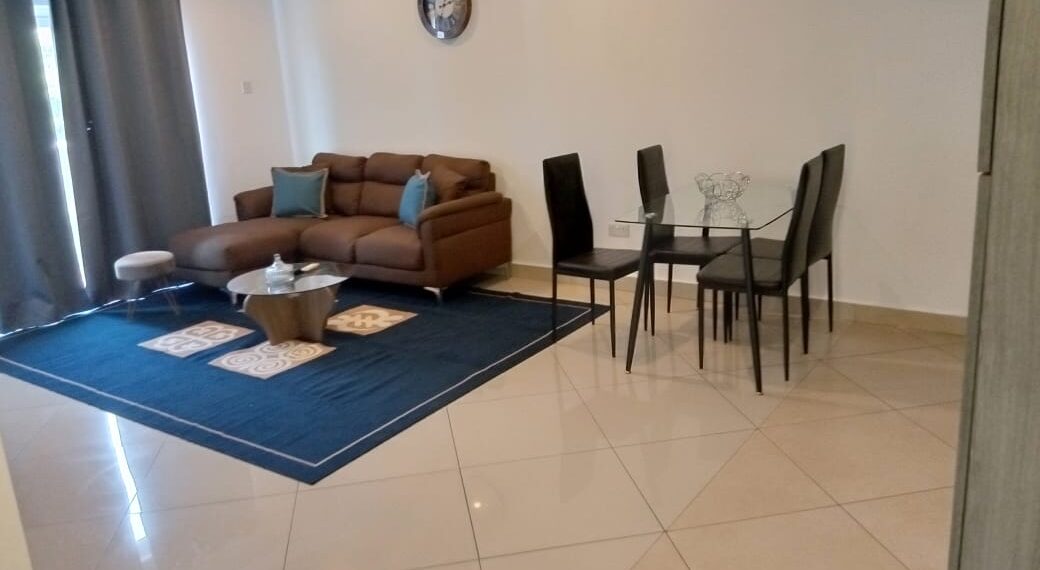 1 bedroom furnished apartment for rent at Cantonments in Accra Ghana